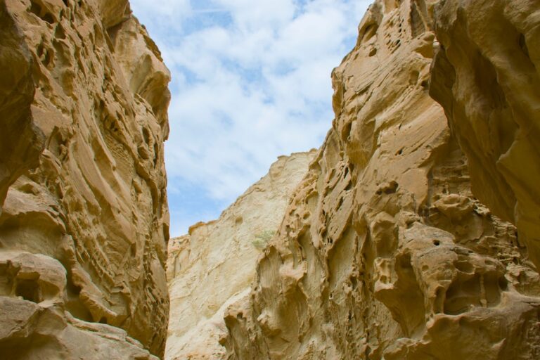 canyon during daytime