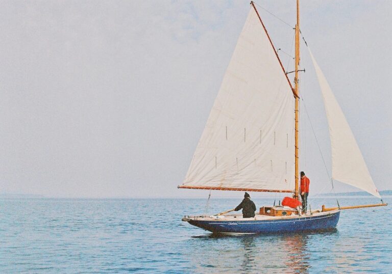 blue and brown boat on sea during daytime