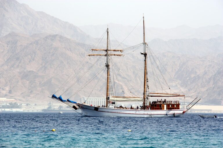 white and brown boat on sea during daytime