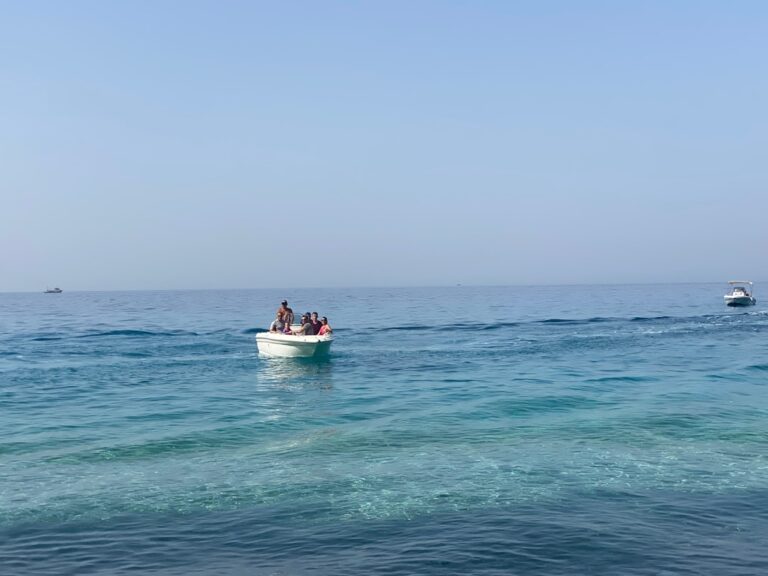 white and black boat on sea during daytime