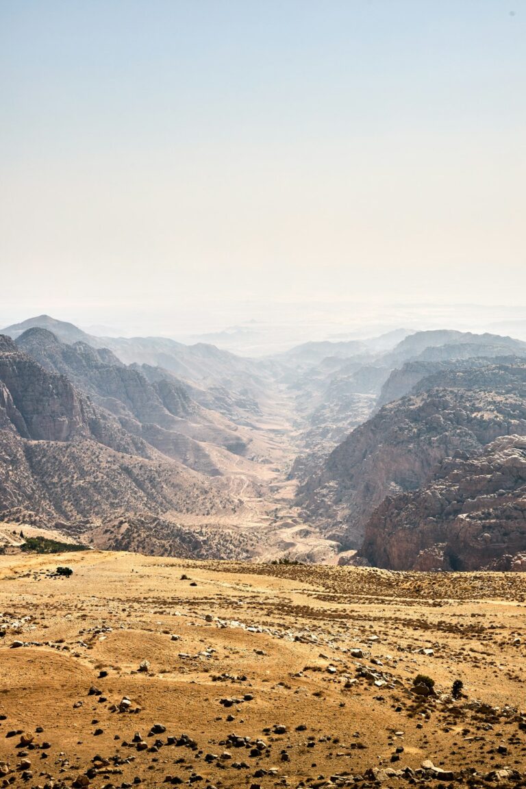 a view of a valley with mountains in the background