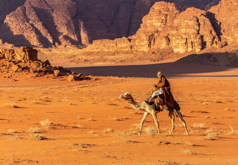 Stories from 1001 Arabian nights