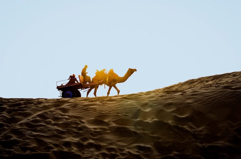 Camel Ride