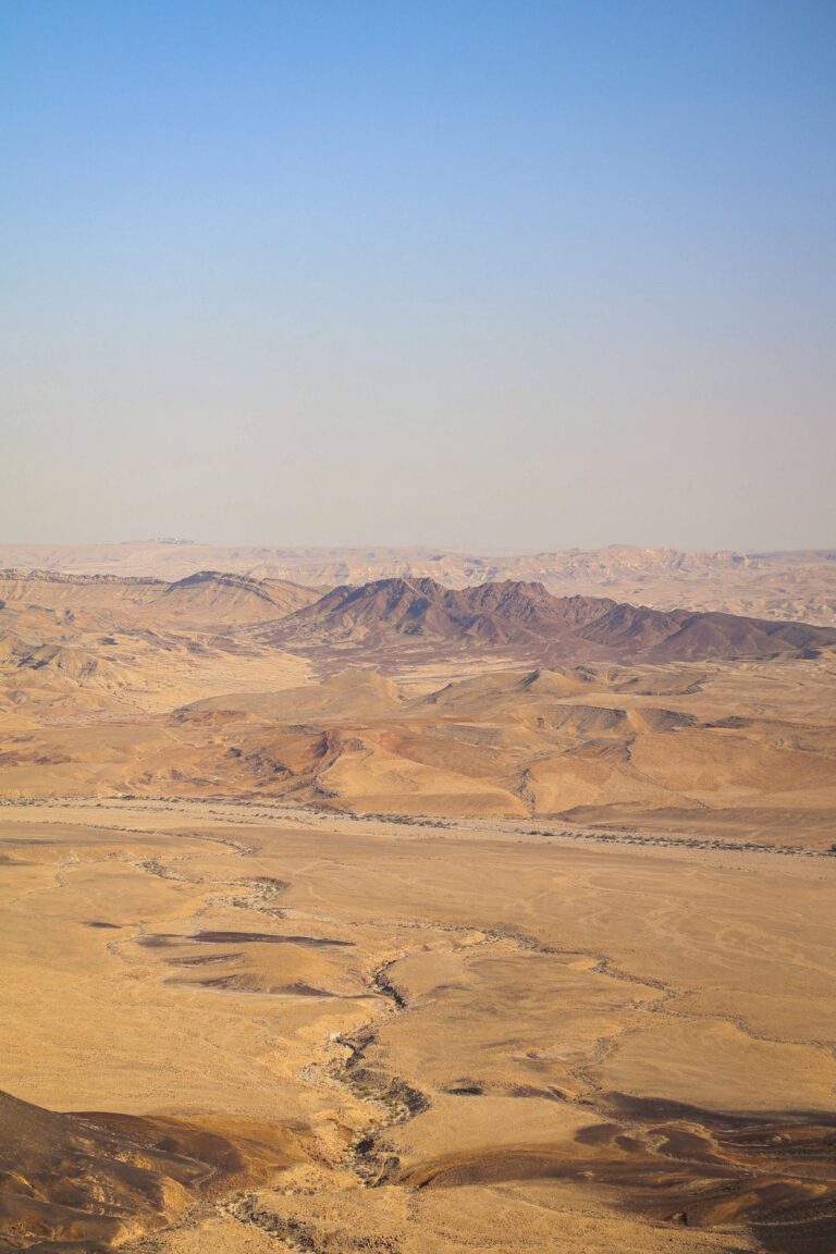 Desert Landscape with Mountains