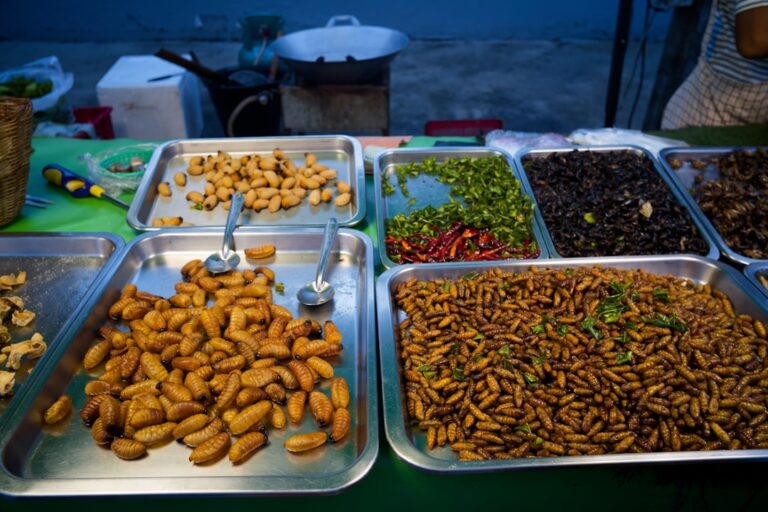 Trays of fried insects and peanuts at a market stall