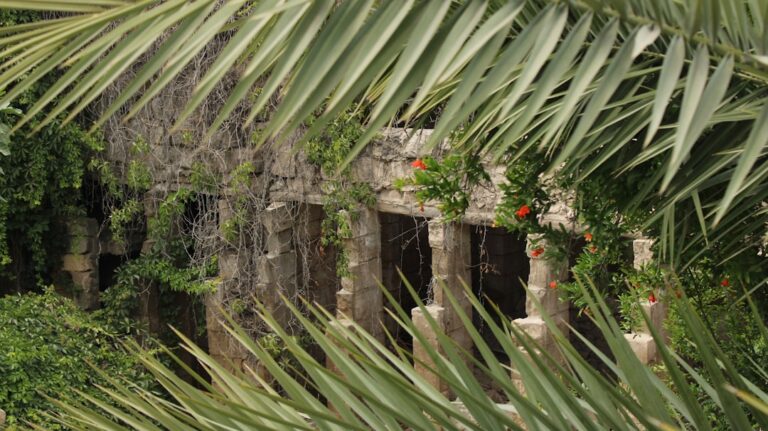 An abandoned stone structure with repetitive arches and rough columns is reclaimed by vines and palms. The masonry and...
