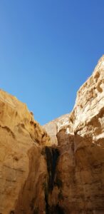 beige concrete building