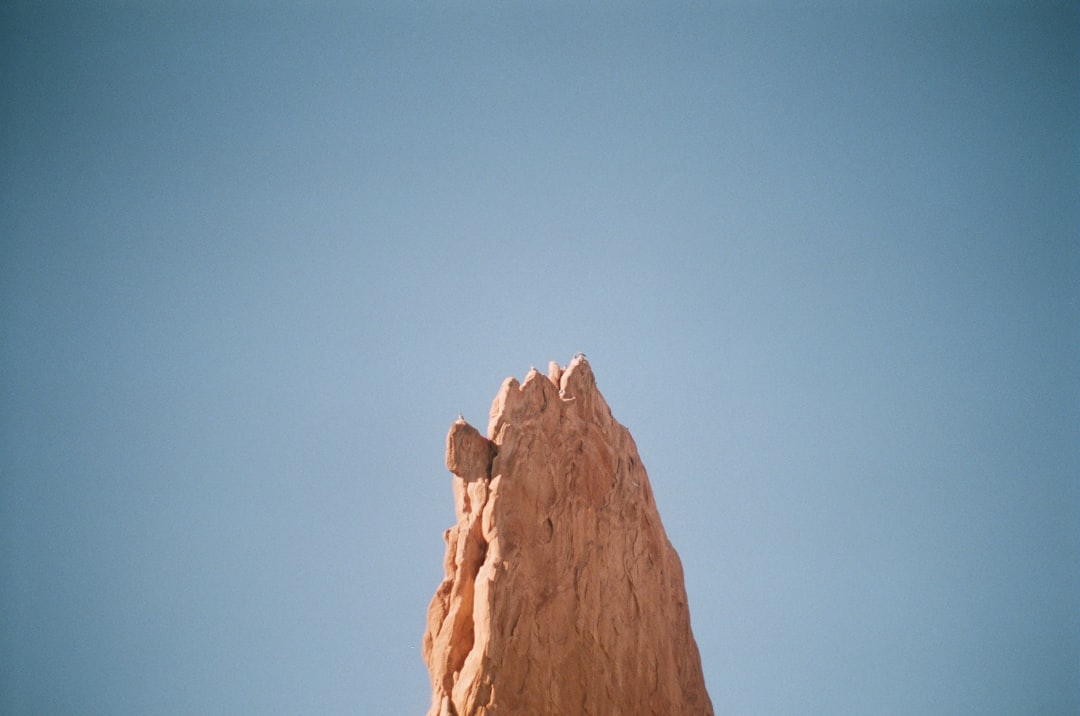 a bird is perched on top of a rock