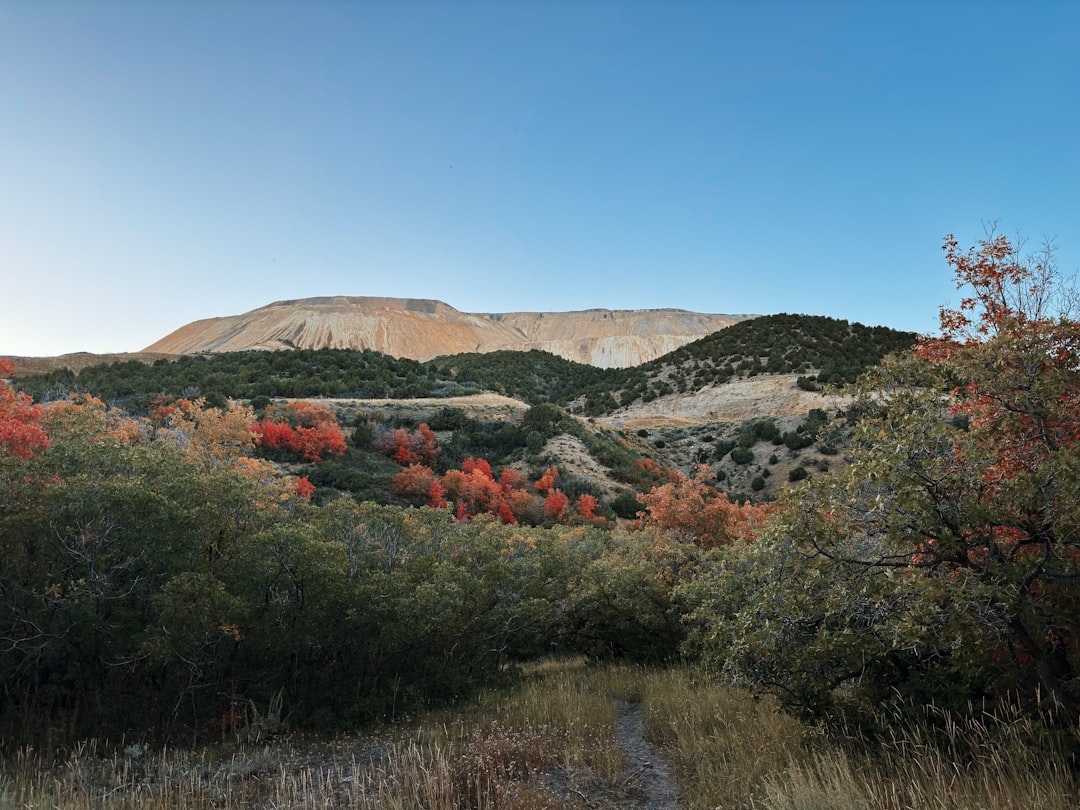 a view of a mountain range with trees in the foreground